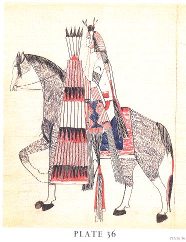 click here for life size copy of whole plate