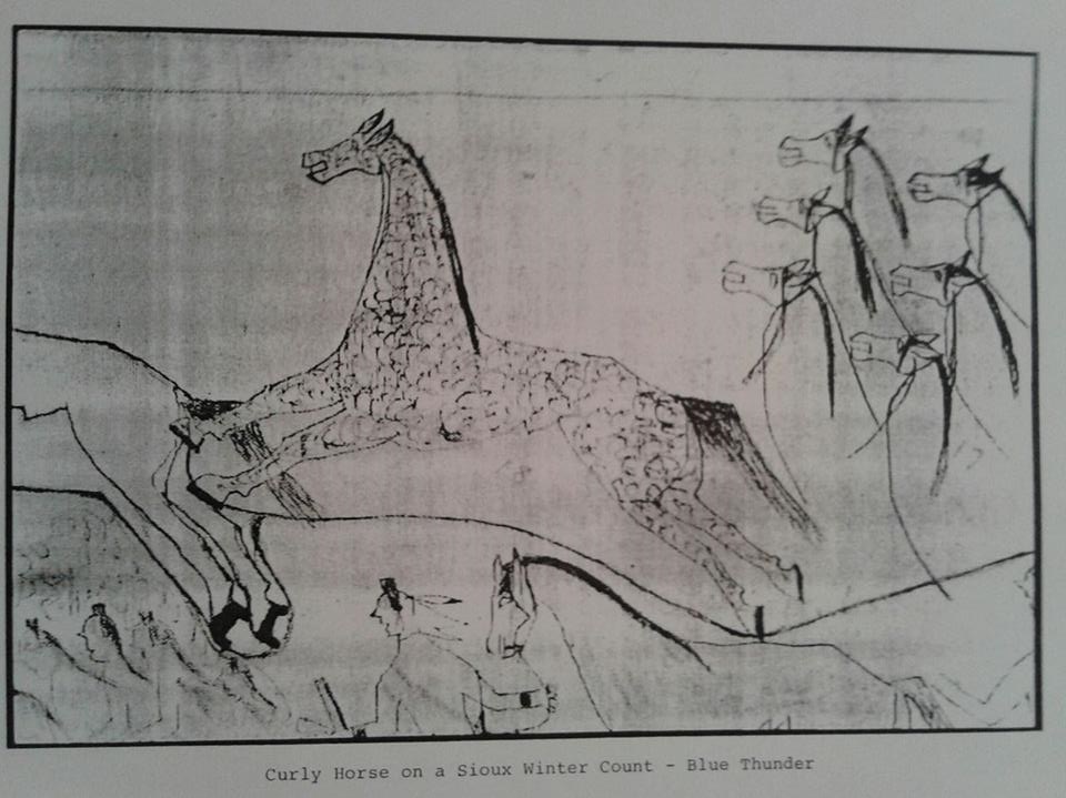 Blue Thunder winter count; Shan Thomas, Myth & Mystery