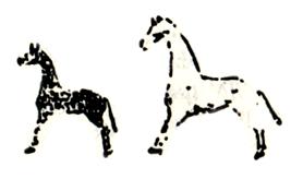 closeup, curly horse in winter count